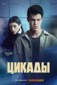 Цuka∂ӹ